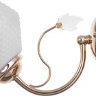 Бра "Ариель" 1х40Вт E27 белый-золото 18х15х18 см. - фото 24612115