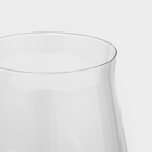 Набор бокалов для вина POLARIS, 540 мл, хрустальное стекло, 2 шт - фото 4468724