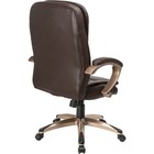 Кресло для руководителя Palamos пластик/экокожа, коричневый 63x72x104 см 10507635