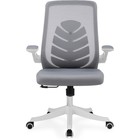 Компьютерное кресло Jimi пластик/сетка, белый/серый 68x59x100 см 10509522