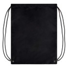 Мешок для обуви 480 х 360 мм, Феникс, сублимация, светоотражающая полоса, "Девочка с баллончиком" - фото 24571546