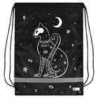 Мешок для обуви 480 х 360 мм, Феникс, шелкография, светоотражающая полоса, "Астрокот" - фото 24571578