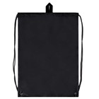 Мешок для обуви с карманом 480 х 360 мм, Феникс, светоотражающая полоса, с ручкой "Частная" - фото 24571594