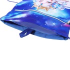 Мешок для обуви с карманом 480 х 360 мм, Феникс, с ручкой "Принцесса с драконом" - фото 24592597