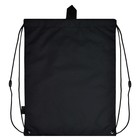 Мешок для обуви с карманом 480 х 360 мм, Феникс, с ручкой "Девушка" - фото 24571600