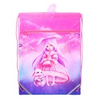 Мешок для обуви с карманом 480 х 360 мм, Феникс, светоотражающая полоса, с ручкой "Алиса" - фото 24592598