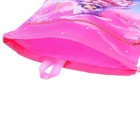 Мешок для обуви с карманом 480 х 360 мм, Феникс, светоотражающая полоса, с ручкой "Алиса" - фото 24592601