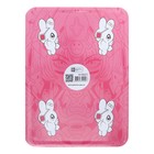 Пенал-футляр металлический 235 х 175 х 20 мм, Феникс "Розовая девушка" - фото 24576169