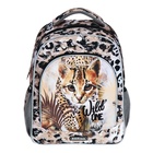 Рюкзак каркасный Erich Krause ErgoLine 15L, 39 х 28 х 14 см, Wild Cat 48459 - фото 24605186