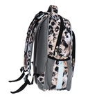 Рюкзак каркасный Erich Krause ErgoLine 15L, 39 х 28 х 14 см, Wild Cat 48459 - фото 24605187