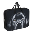 Папка с ручками А4+, 360 х 290 х 70 мм, текстильная, ErichKrause Black Dog 60462 - фото 24625619