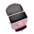 Ранец школьный на замке, 37 х 25 х 14 см, Erich Krause ErgoLine 15L, Pointes 59868 - фото 24625685