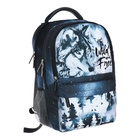 Рюкзак молодёжный 42 х 27 х 19 см, Erich Krause ActiveLine Ergoback 22L, Timber Wolf - фото 24612423