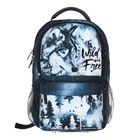 Рюкзак молодёжный 42 х 27 х 19 см, Erich Krause ActiveLine Ergoback 22L, Timber Wolf - фото 24612424