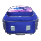 Рюкзак школьный эргоном.спинка Erich Krause ErgoLine 20L 44*33*22 дев Kawaii Whale сир 59876 1028781 - фото 24625756