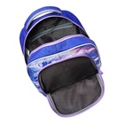 Рюкзак школьный эргоном.спинка Erich Krause ErgoLine 20L 44*33*22 дев Kawaii Whale сир 59876 1028781 - фото 24625758