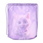 Мешок для обуви 420 х 330 мм, Оникс МО-20, "Кошечка Бетти" - фото 24605315