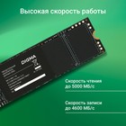 Накопитель SSD Digma PCIe 4.0 x4 1TB DGSM4001TM6ET Meta M6E M.2 2280 - Фото 4