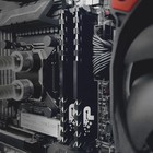 Память DDR4 8GB 3200MHz Patriot PSP48G32002H1 Signature Premium RTL PC4-25600 CL22 DIMM 288   106501 - фото 51590425