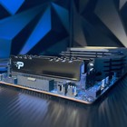 Память DDR5 2x16GB 5600MHz Patriot PSP532G5600KH1 Signature Premium RTL PC5-44800 CL46 DIMM 106503 - фото 51590724 Память DDR5 2x16GB 5600MHz Patriot PSP532G5600KH1 Signature Premium RTL PC5-44800 CL46 DIMM 106503 - фото 51590724