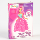 УЦЕНКА Набор для опытов «Чудесные кристаллы», принцесса - Фото 1