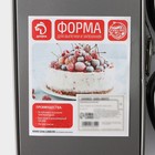 Набор форм для выпечки Доляна «Элин», 3 предмета: прямоугольная 14×24,5 см, круглая d=11,5 см, сердце 13×12 см, съёмное дно, антипригарное покрытие, цвет чёрный - Фото 10
