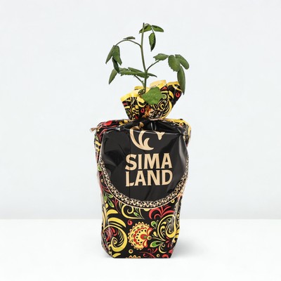 РОР / САЖЕНЦЫ ПИТОМНИКА / AMANDINE CHANEL (Амондин Шанель)