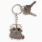 Брелок для ключей акриловый «Приношу счастье и удачу», 9.7 х 4.5 см - Фото 5