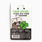 Брелок для ключей акриловый «Приношу счастье и удачу», 9.7 х 4.5 см - Фото 7