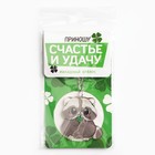 Брелок для ключей акриловый «Приношу счастье и удачу», 9.7 х 4.5 см - Фото 8