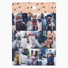 Набор наклеек детских бумажных «Котопсы», 10 штук, 11 х 15.5 см - фото 24576220