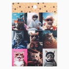 Набор наклеек детских бумажных «Котопсы», 10 штук, 11 х 15.5 см - фото 24576223