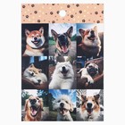 Набор наклеек детских бумажных «Котопсы», 10 штук, 11 х 15.5 см - фото 24576224