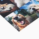 Набор наклеек детских бумажных «Котопсы», 10 штук, 11 х 15.5 см - фото 24576225