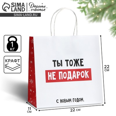 Пакет подарочный новогодний «Ты тоже не подарок», 22×22×11 см