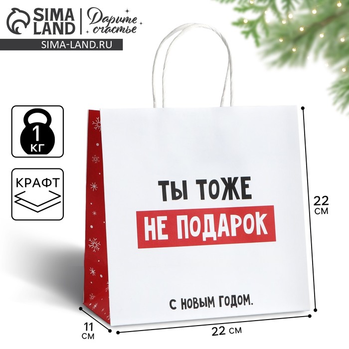 

Пакет подарочный новогодний «Ты тоже не подарок», 22 х 22 х 11 см