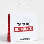 Пакет подарочный новогодний «Ты тоже не подарок», 22 х 22 х 11 см , Новый год 10338153 - фото 13216053