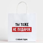 Пакет подарочный новогодний «Ты тоже не подарок», 22 х 22 х 11 см , Новый год 10338153 - фото 13216054