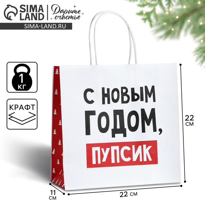 Пакет подарочный новогодний «С Новым годом, пупсик», 22 х 22 х 11 см - Фото 1
