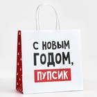 Пакет подарочный новогодний «С Новым годом, пупсик», 22 х 22 х 11 см , Новый год 10338154 - фото 13216061