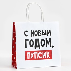 Пакет подарочный новогодний «С Новым годом, пупсик», 22 х 22 х 11 см