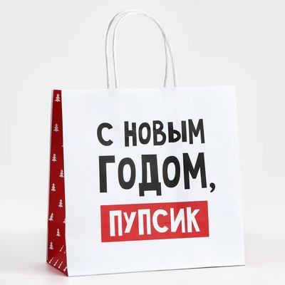 Пакет подарочный новогодний «С Новым годом, пупсик», 22×22×11 см