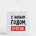 Пакет подарочный новогодний «С Новым годом, пупсик», 22 х 22 х 11 см , Новый год 10338154 - фото 13216062