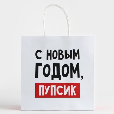 Пакет подарочный новогодний «С Новым годом, пупсик», 22×22×11 см