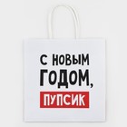 Пакет подарочный новогодний «С Новым годом, пупсик», 22 х 22 х 11 см , Новый год 10338154 - фото 13216066