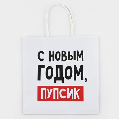 Пакет подарочный новогодний «С Новым годом, пупсик», 22×22×11 см