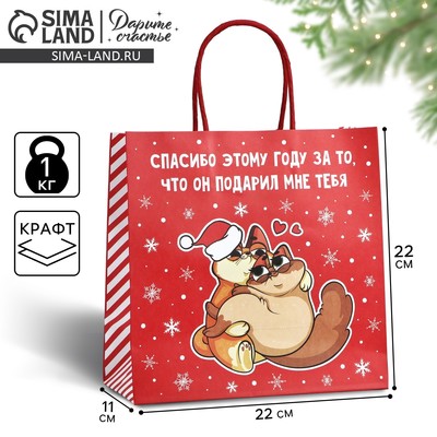 Пакет подарочный новогодний «Спасибо этому году», 22×22×11 см