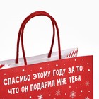 Пакет подарочный новогодний «Спасибо этому году», 22 х 22 х 11 см 10338157 - фото 13836861