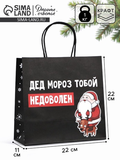 Пакет подарочный новогодний «Подарок, который ты заслужил», 22×22×11 см