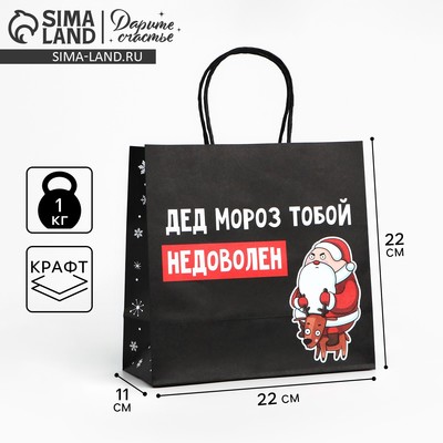 Пакет подарочный новогодний «Подарок, который ты заслужил», 22×22×11 см
